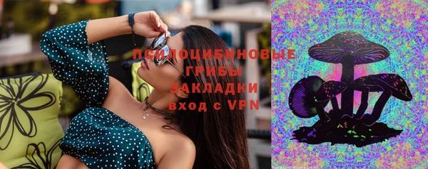 не бодяженный Аркадак