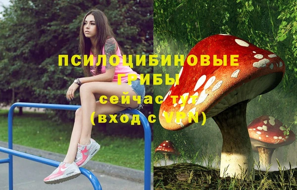 не бодяженный Аркадак