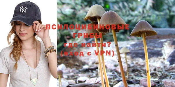 кокс Арсеньев